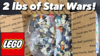 200+ LEGO Star Wars Fig Haul Just For Fun!