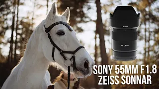 Sony 55mm F1.8 Carl Zeiss Sonnar. Полтинник, который удивляет.