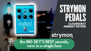 Is this the new the best reverb sound ever? // Strymon Cloudburst Ambient Reverb Pedal