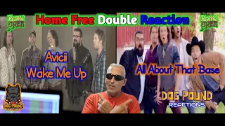 Double Reaction Home Free - All About That Bass & Avicii - Wake Me Up/Dog Pound Reaction