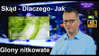 Glony nitkowate -  Skąd - Dlaczego - Jak