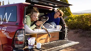 Pro Tips for Road Tripping with Your Dog