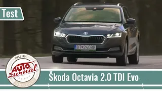 Škoda Octavia 2.0 TDI Evo 2020 (2. časť) - Nový interiér, podvozok a väčší kufor