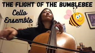 The Flight of the Bumblebee Rimsky-Korsakov (cello ensemble version)
