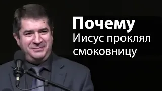 Почему Иисус проклял смоковницу - Александр Гырбу