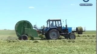 В Неверкино запаслись кормовой травой на два года вперед