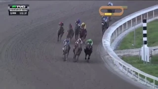 RACE REPLAY: 2017 Fountain of Youth Stakes Featuring Gunnevera