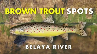 Russian Fishing 4 BROWN TROUT SPOTS Belaya River