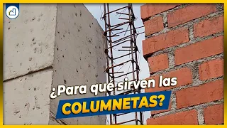 🤔¿PARA QUÉ SIRVEN LAS COLUMNETAS?🤔