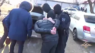 В Хабаровске пресечена деятельность группы лиц, подозреваемых в телефонном мошенничестве