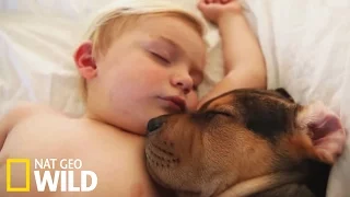 Une émouvante relation entre un chien et un enfant - Drôles d'amis