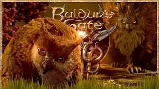 Der Eulenbär, der ist nicht mehr 🐉 Baldur's Gate III #014