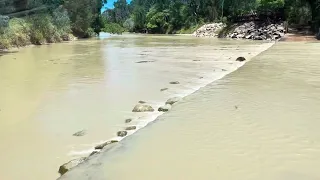 Crocodiles fighting over fish - Cahills Crossing NT