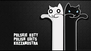 Polskie Koty Polish Edits Kozzanostra