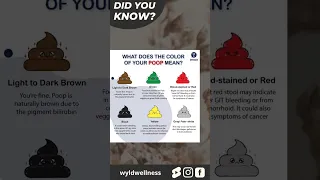 What does the colour of your poop mean? 💩 #shorts