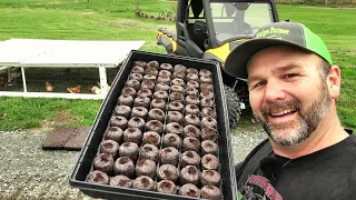 How to start your vegetable garden seeds with success!