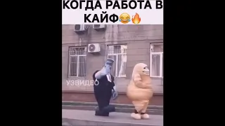 работа в кайф