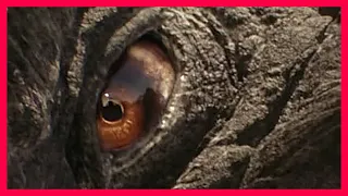 NEW FUNNY PROMO FOR GXK! (NEW CLIPS) - Godzilla x Kong: The New Empire