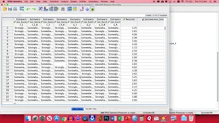 SPSS - Survey Analysis