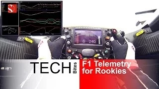 F1 Telemetry for Rookies - Sauber F1 Team