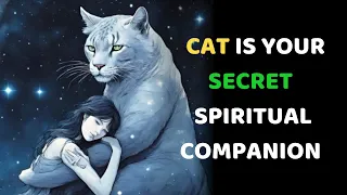The Spiritual Connection of Cats | Why Did GOD put a CAT in your life ?