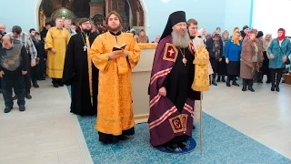 Vladyka Elisey. Forgiveness Sunday. The service in the Pokrovsky Cathedral.