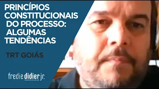 Os Princípios Constitucionais do Processo: Algumas Tendências- FREDIE DIDIER JR