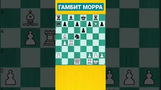 Гамбит Морра - просто загляденье! #shorts