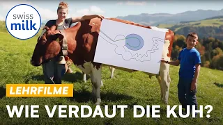 Vom Grasbüschel zum Kuhfladen: Wie verdaut die Kuh? | Lehrfilm | Swissmilk (2017)