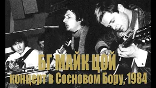 БГ, Майк, Цой - Исполнение Разрешено: концерт в Сосновом Бору (15.12.84)