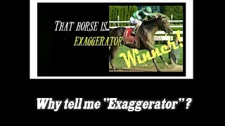 WHY EXAGGERATOR? -straight from the horse's mouth- (Pure EVP) Spirit Messages