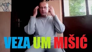 Veza um misic