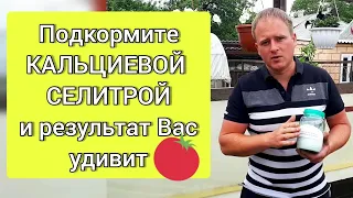 Подкормите КАЛЬЦИЕВОЙ СЕЛИТРОЙ и результат Вас удивит