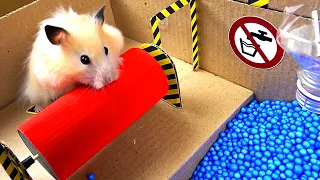 Epic Hamster Maze