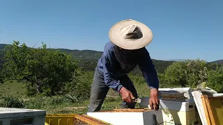 κόψιμο για όσους δεν αρέσει η ταλαιπωρία