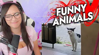 Bunny REACTS to Funny Animal to Brighten Up your Day 😂 🥰 #