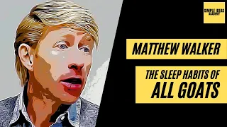 Neuroscientist & Sleep Expert Matthew Walker Explains Why All Star Athletes Sleep 10+ Hours a Day