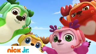 Премьера шоу "Лесная команда" | Nick Jr. Россия