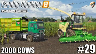 Experimenting with SILAGE CUTTERS | 2000 Cows Farm | Farming Simulator 19 | #29