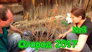 Семья Бровченко. Огород 2017г. - посадка капусты, огурцов, горошка и др. (05.17г.)