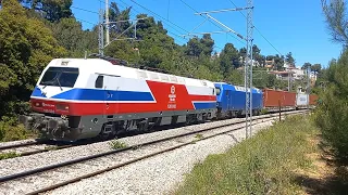 Trains at Agios Stefanos | April 2024