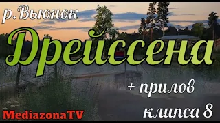 Русская Рыбалка 4 р Вьюнок Дрейссена  + прилов 26 09 23