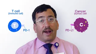Explaining Immunotherapy, PD-L1 and PD-1