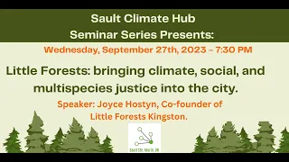 Little Forests: Bringing climate, social and multi-species justice into the city.