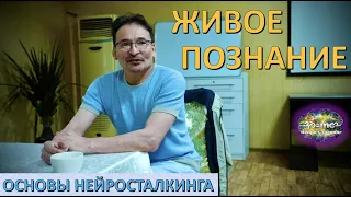 РЕТРИТ -"НАЧАЛО") - Вводная лекция о том, что будет на Ретрите