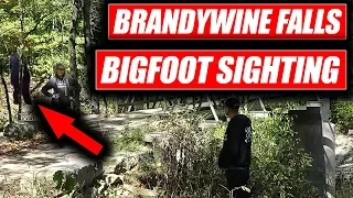 Bigfoot sighting Brandywine Falls Cuyahoga Valley National Park