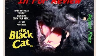 In For Review - The Black Cat ( Arrow Video ) 1981