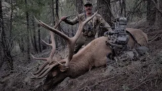 SOLO ELK HUNT for Wide 6pt Bull with Tim Burnett