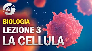 BIOLOGIA - Lezione 3 - La Cellula Eucariota