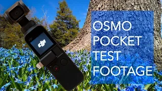 DJI Osmo Pocket Spring Test